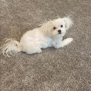 Meet Your Posher, Abbey